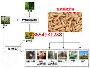 【徐州大中小型免黄油木屑颗粒机】-